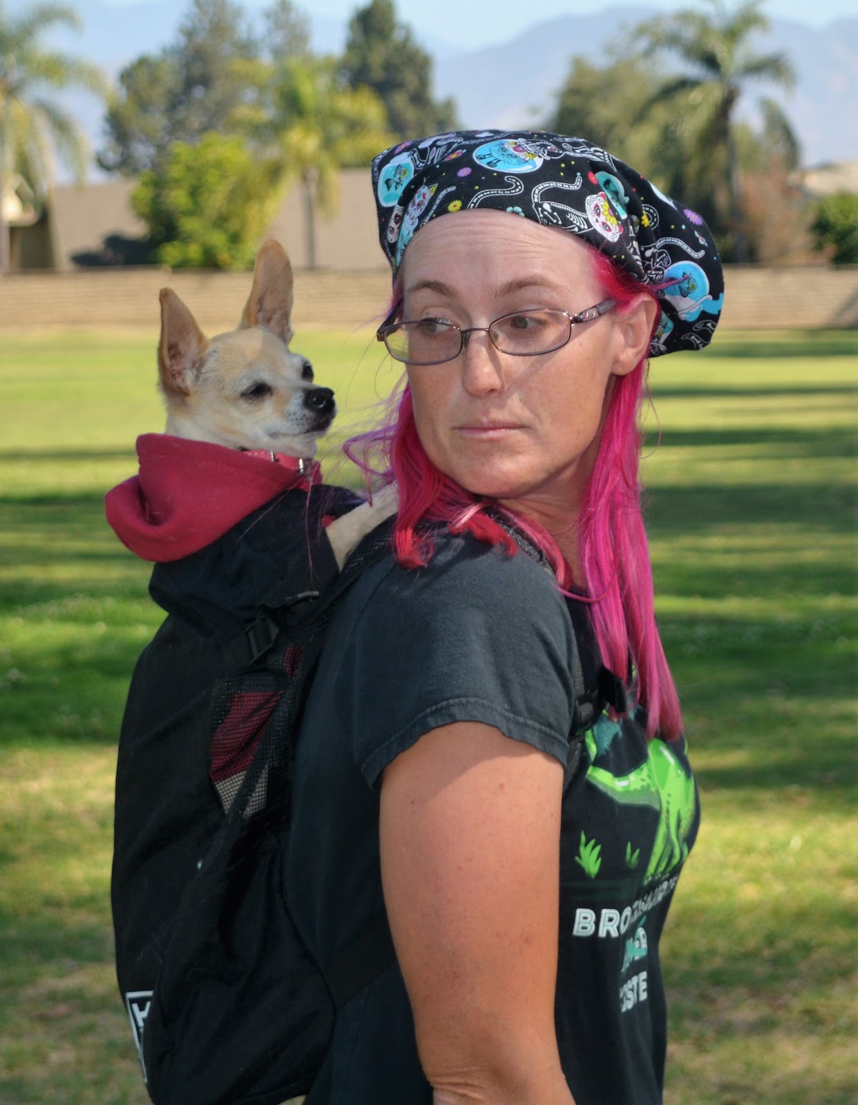 k9 sport sack sizing