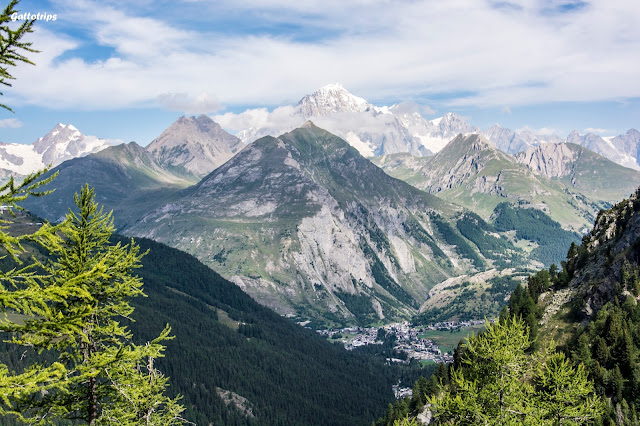 Valle de Aosta - Gatti Valdostani - Blogs de Italia - Killing Gatta (1)