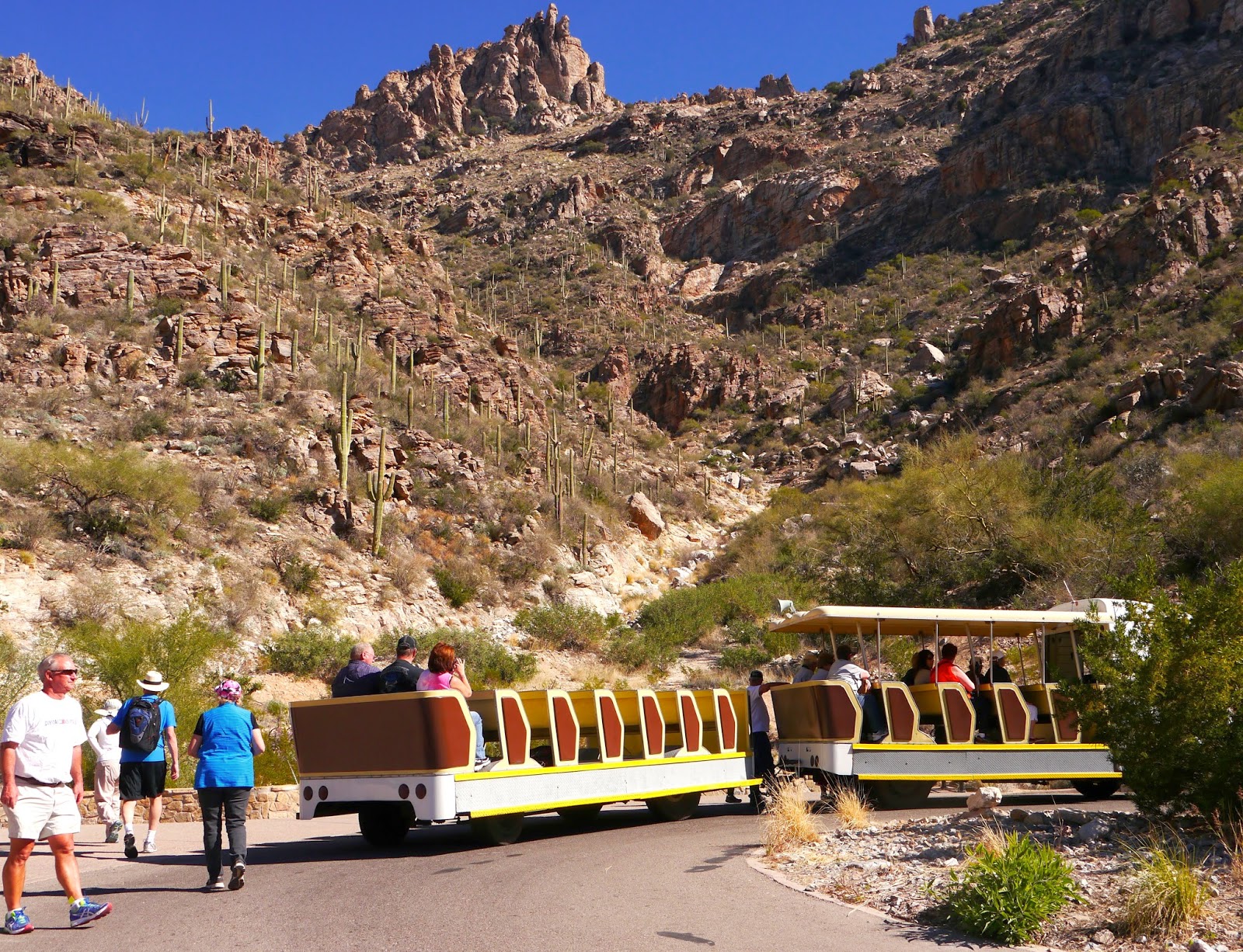 Jim and Bev Sabino Canyon, Trip Two