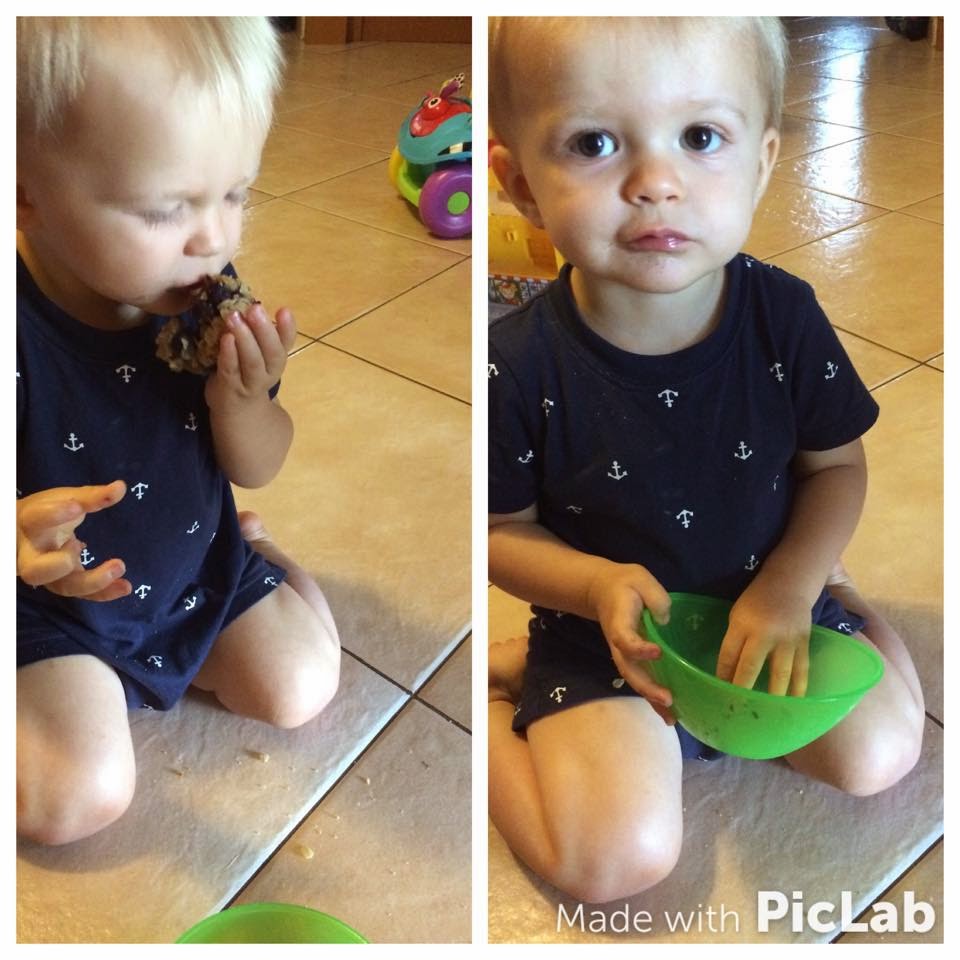 Sarah Wawerek My adventures into living a healthy life Blueberry Oatmeal Breakfast Bars