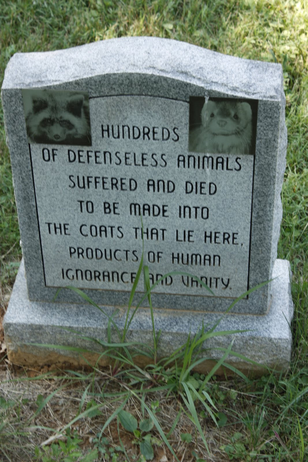 Grave Images A real pet cemetery in Maryland