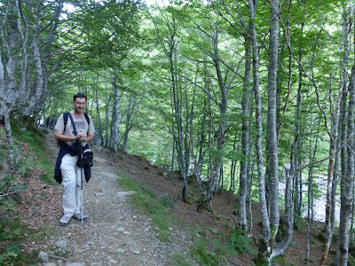 Le Béarn - Blogs de Francia - Col d'Aubisque (Gourette) (6)