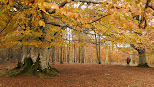 PARQUE NATURAL URBASA ANDIA