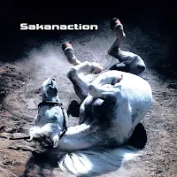 Sakanaction - Tabun, Kaze