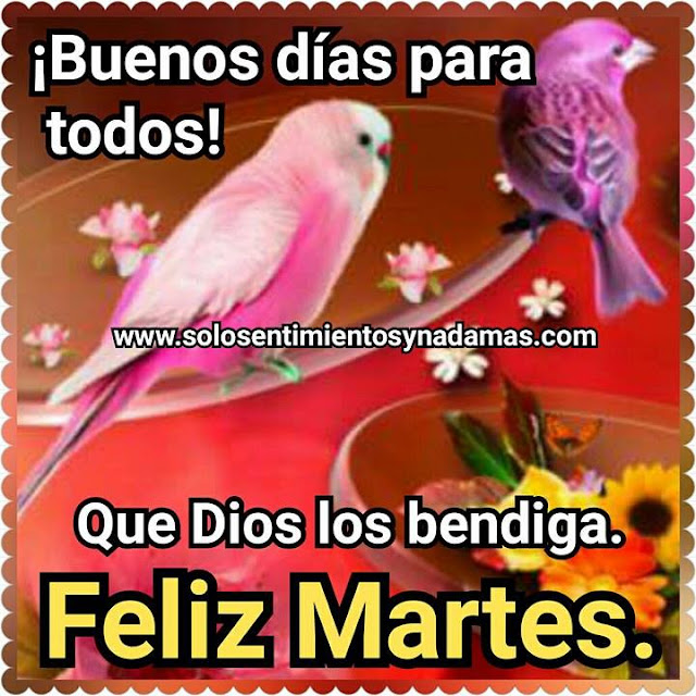 Feliz martes.