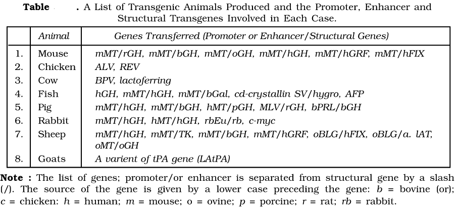 Transgenic Animals - BIOLOGY EASE