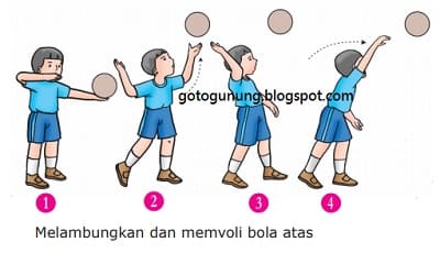 Sebutkan 3 Variasi Gerak Dasar Manipulatif Dalam Permainan Bola Voli Go To Gunung Sebutkan 3 Variasi Gerak Dasar Manipulatif Dalam Permainan Bola Voli Go To Gunung