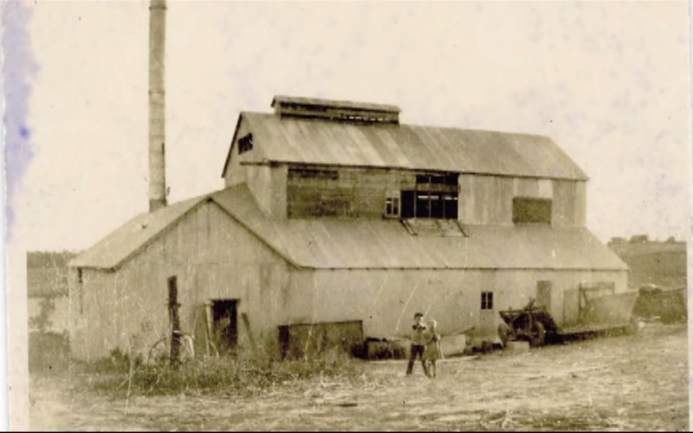 Green Frog Gifts Sweet molasses (An Iowa Tradition)