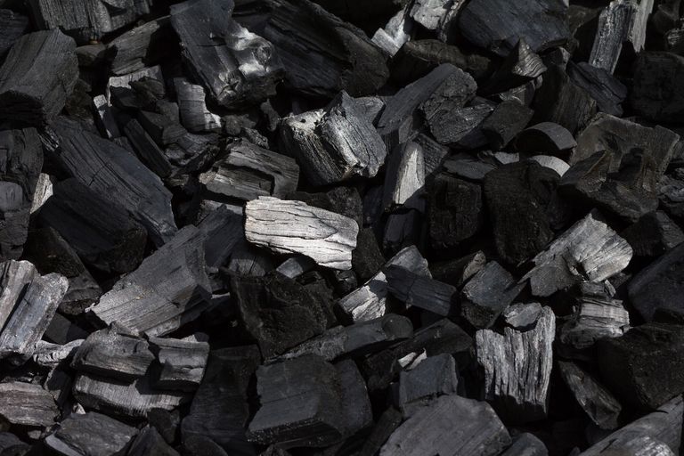 WHAT THE SCIENTISTS WONT TELL YOU ABOUT CHARCOAL.