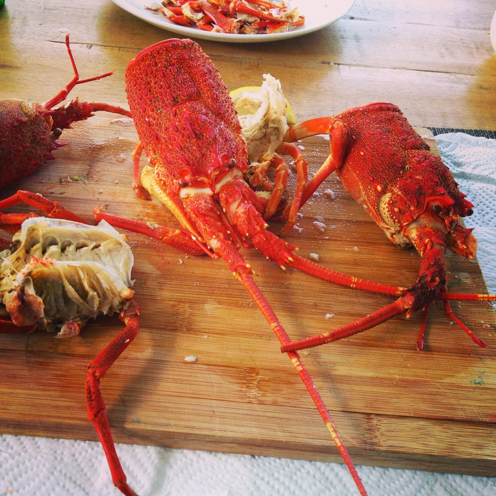 Head South crayfish boil (aka south african rock lobsters)