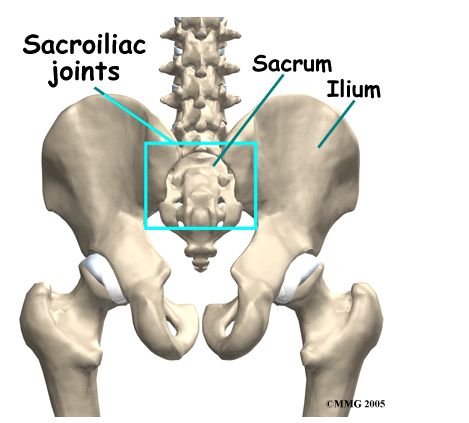 bone the tail Fisting and