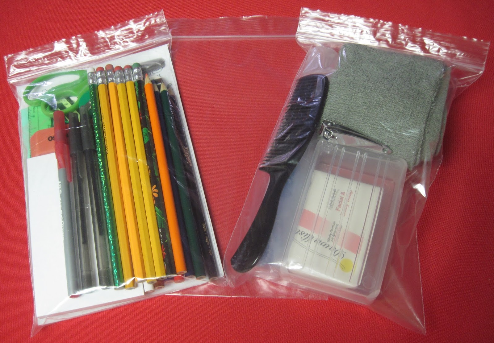 Simply Shoeboxes Zip Plastic Bags from MDSupplies & Services Review