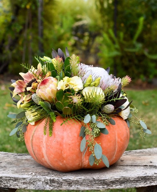 A Passion for Flowers: Autumn Inspiration: Pumpkin Art