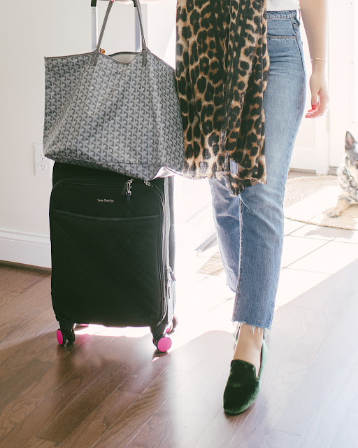 birdies starling shoes