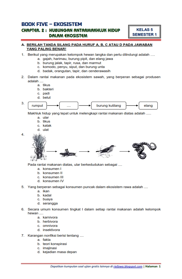 Contoh Soal Tematik Kelas 5 Tahun Ajar