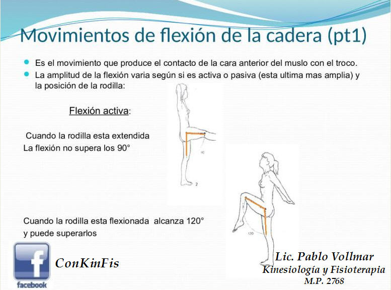 Consultorio Privado de Kinesiología y Fisioterapia Biomecánica de la Cadera Consultorio Privado de Kinesiología y Fisioterapia Biomecánica de la Cadera