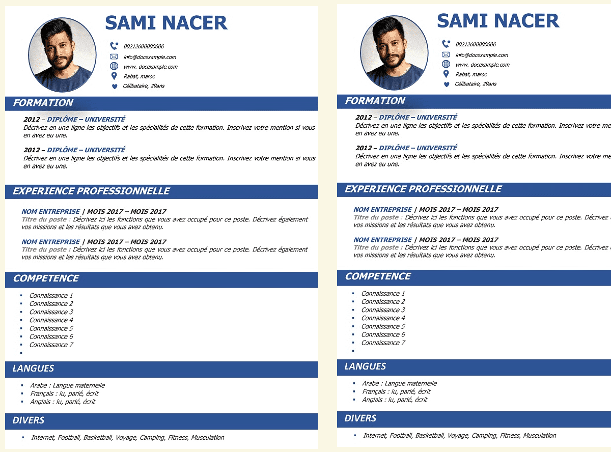 A Free Cv In French Ready To Download