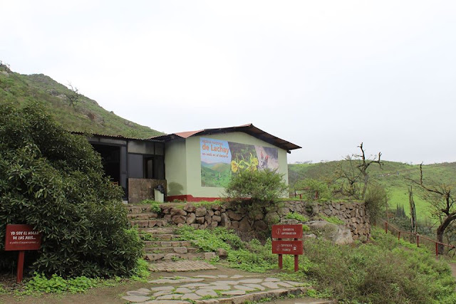 Reserva Nacional de Lachay