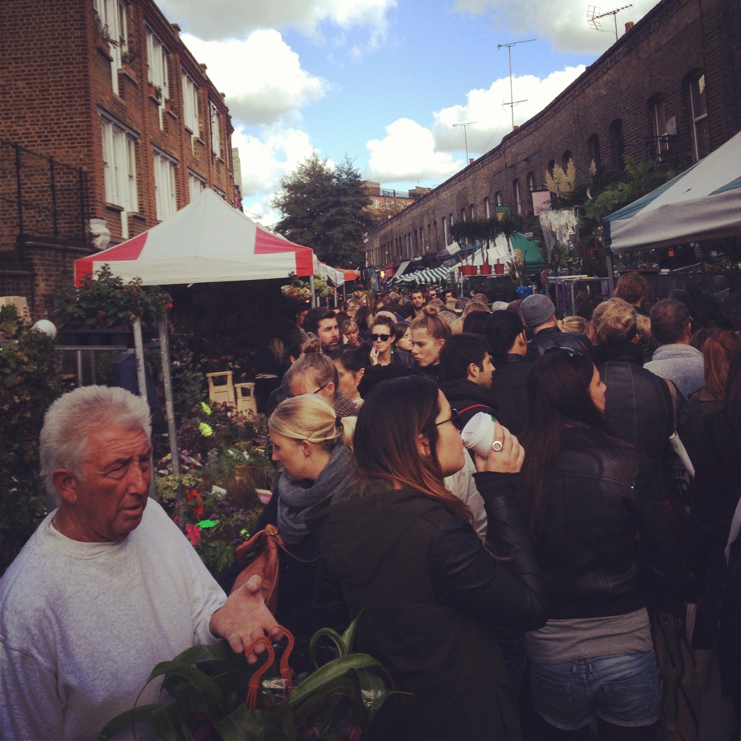 27+ Lyrics Bring You Flowers In The Pouring Rain PNG Hutomo