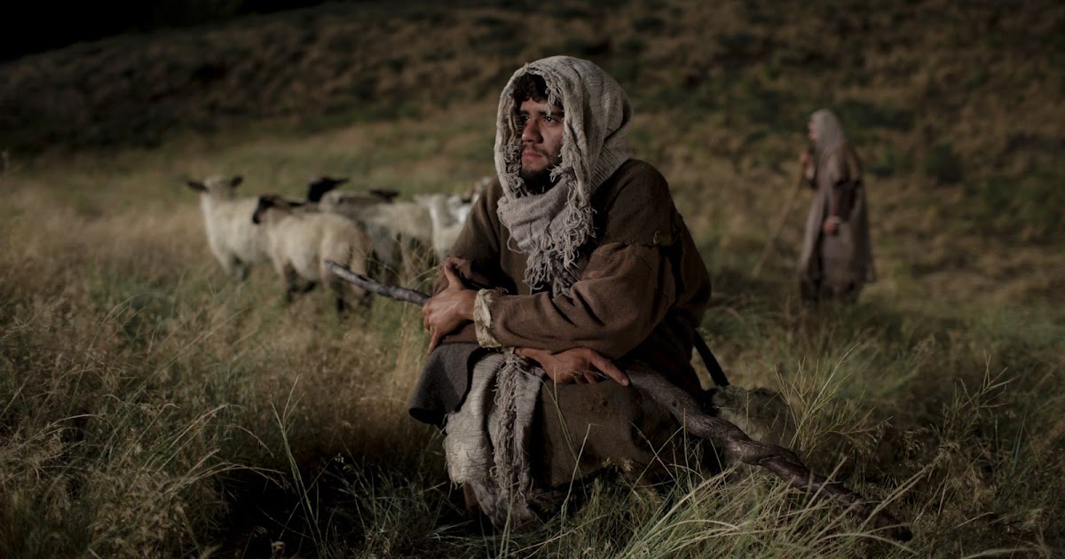 A Shepherd's Post: A Christmas Homily: You Are Wanted, Loved, and Chosen