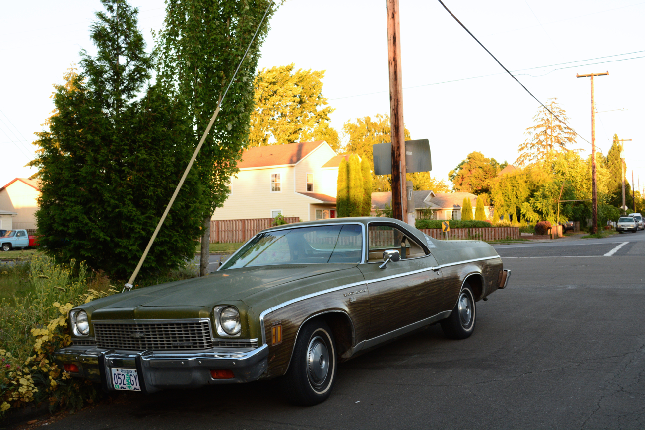 OLD PARKED CARS. 1973 Chevrolet El Camino Estate.