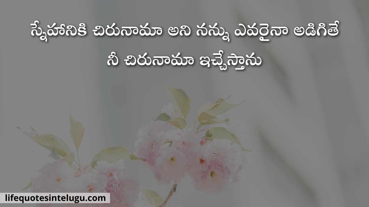 Friendship Quotes In Telugu