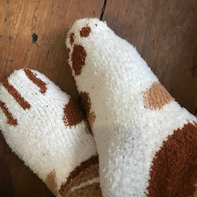 Feet in socks that look like cat paws