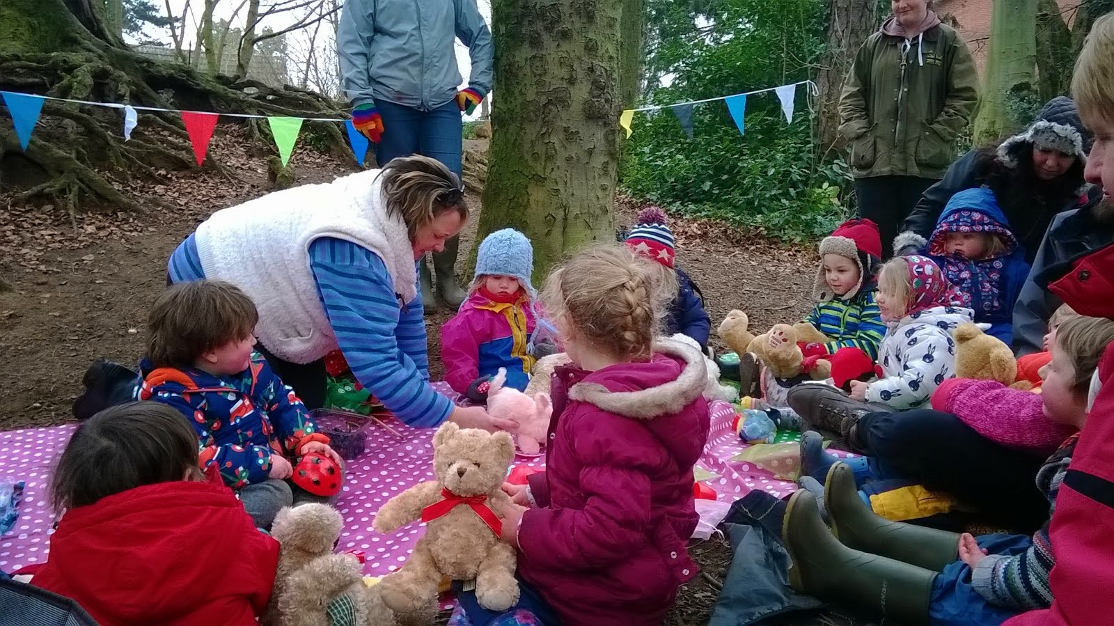 Teddy Bears Picnic Feb 2015