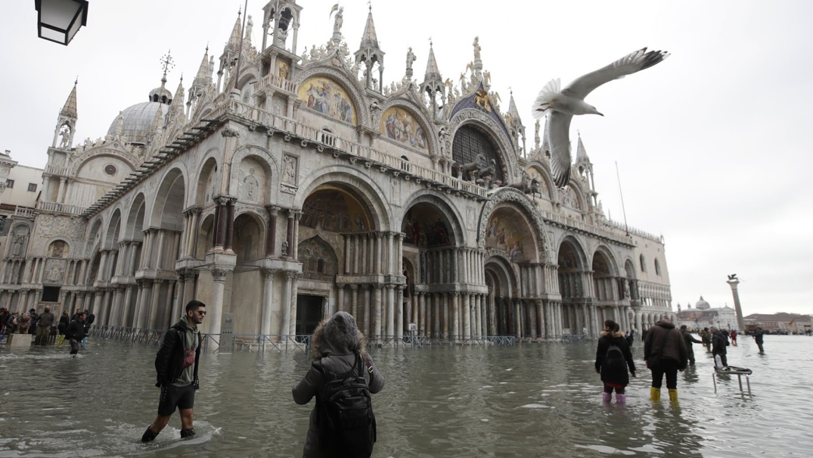 Удивительный город венеция. Площадь Сан Марко в Венеции затопило. Аренго Венеция. Байюло Венеция. Баллистарии Венеция.
