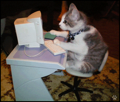 Art Cat GIF • Kitten typing faster and faster! On the internet nobody knows he's a clever. Art Cat GIF • Kitten typing faster and faster! On the internet nobody knows he's a clever.