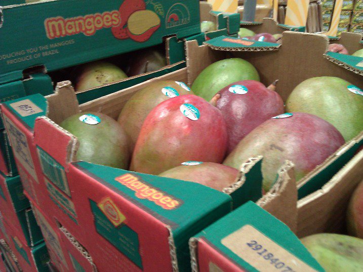 BRAZIL MANGOES ARE STILL AT 9.99 FOR AN 8 COUNT AT COSTCO IN VISTA