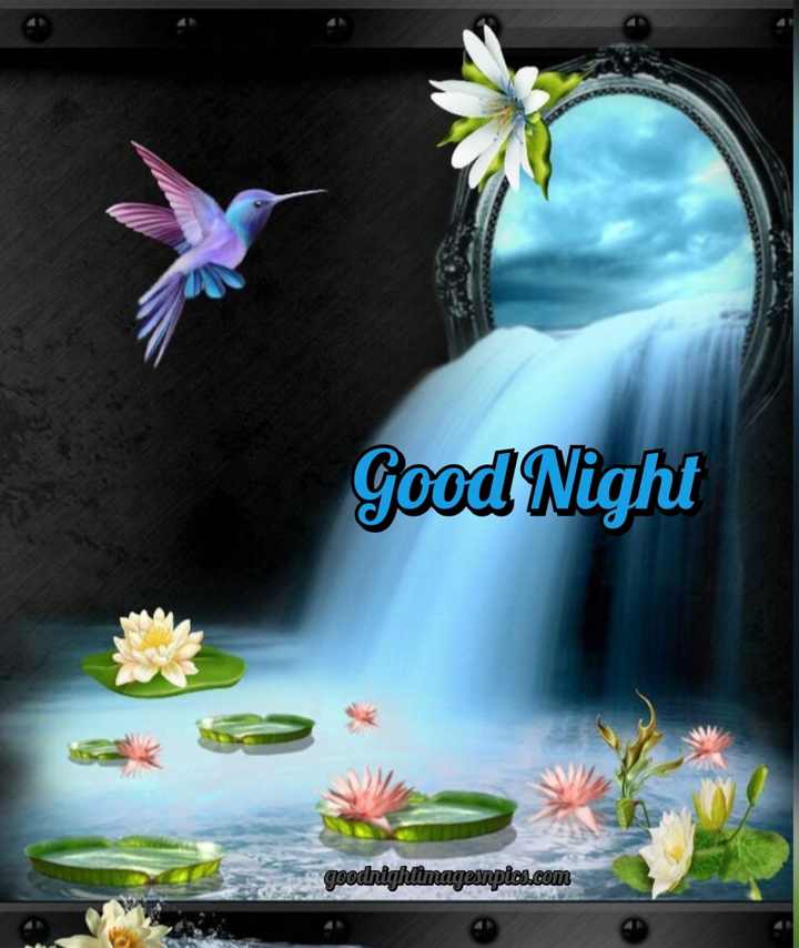 Good Night Photo HD Good Night Photo HD