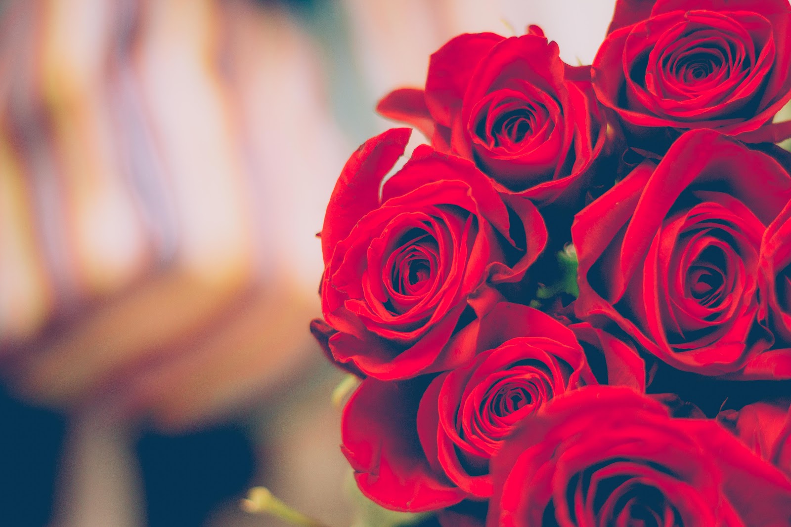 Red Roses Bouquet