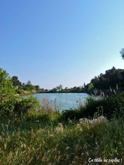 Ca titille les papilles !,Lac, Source d'eau, Montpellier