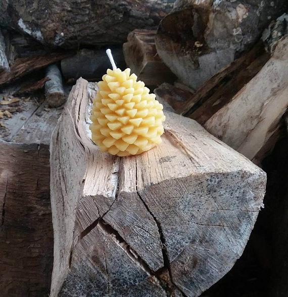 Not Just Another Southern Gal Beeswax Candles from Michigan