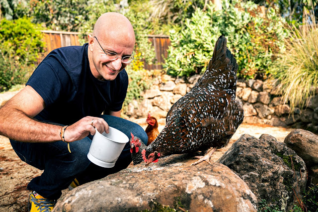 Quiñonero raising chickens to unwind