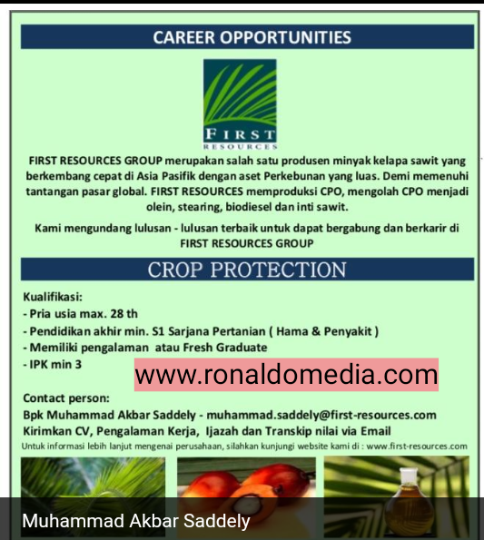 Contoh Soal Psikotes Perkebunan Kelapa Sawit Contoh Soal