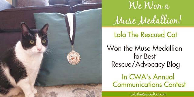 Muse Medallion|Cat Writers' Association