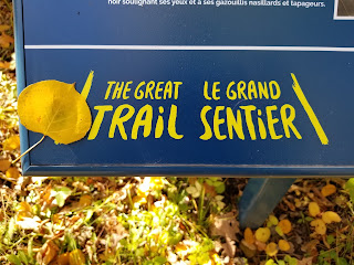 The Great Trail sign in Whiteshell Manitoba.