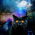 Oh le beau Chartreux !!