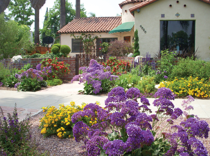 54 Drought Tolerant Front Yard - Domaci Design