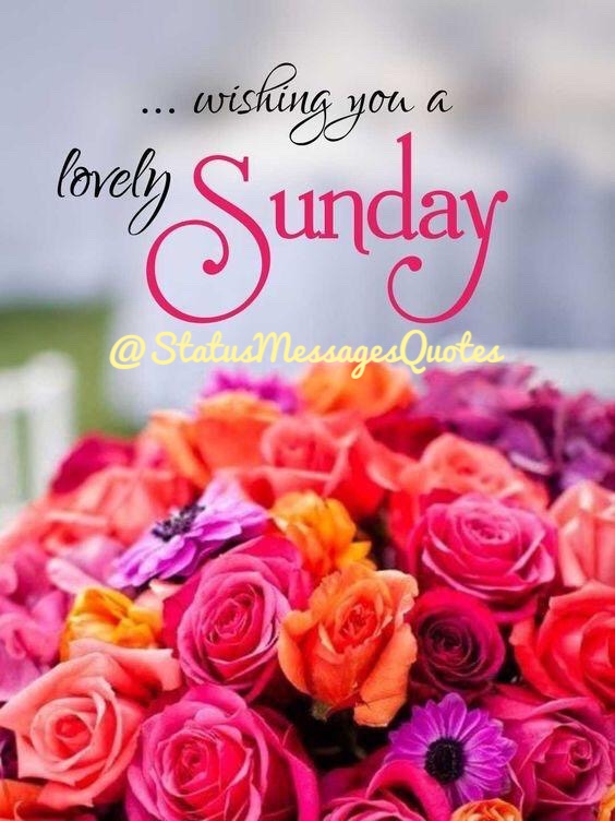 Start your day with smile! Free Good Morning Sunday Images and Quotes