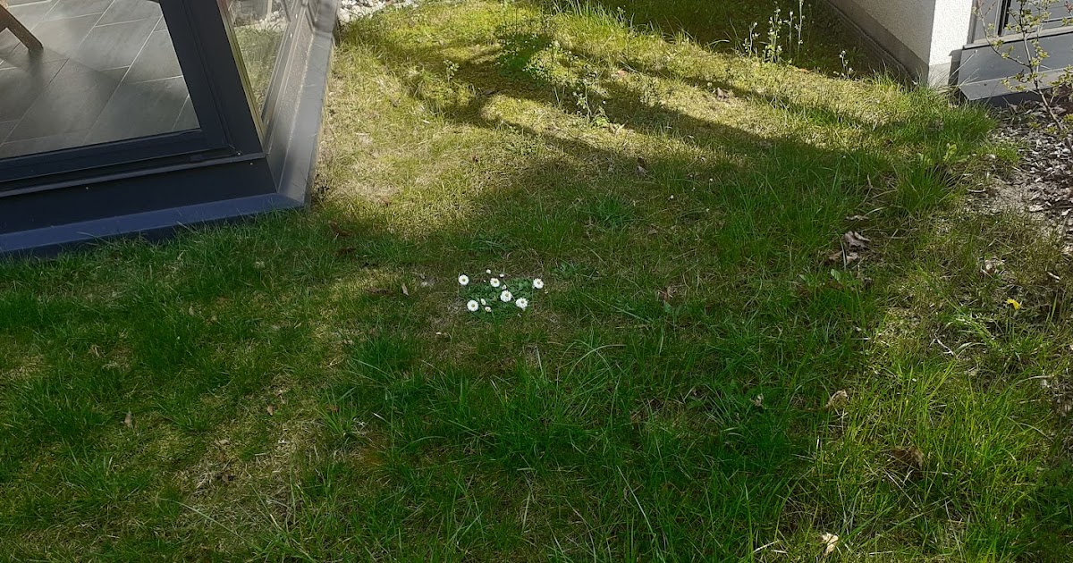 Blog And News For Fleetmon Part 3