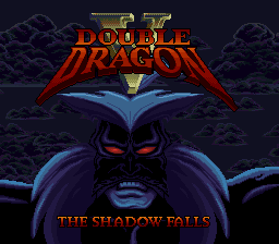 Double Dragon V the Shadow Falls Replacement Box With Inner 