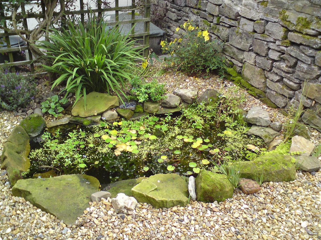 The Poorest Company: Building a wildlife pond - Part 4