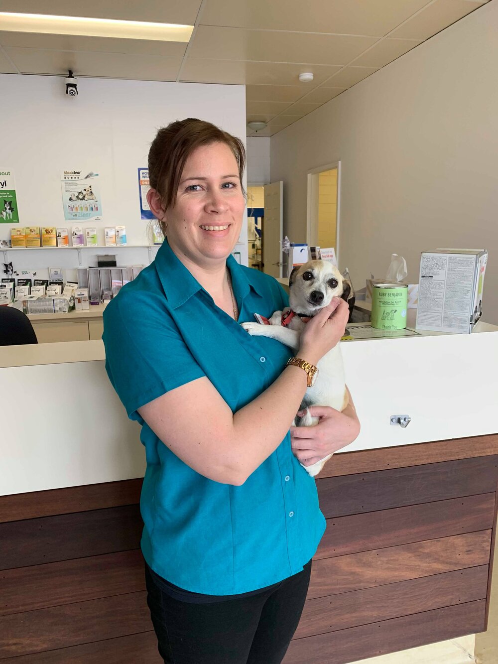 ABOUT VETERINARIAN OCCUPATION