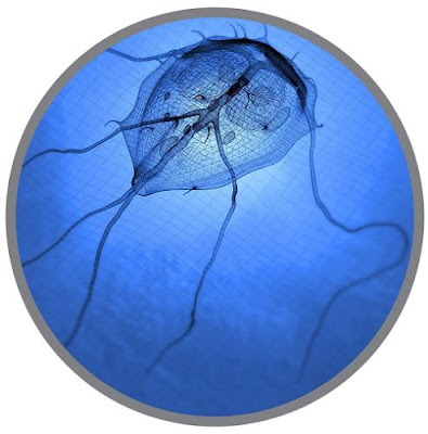 giardia symptomer mennesker)