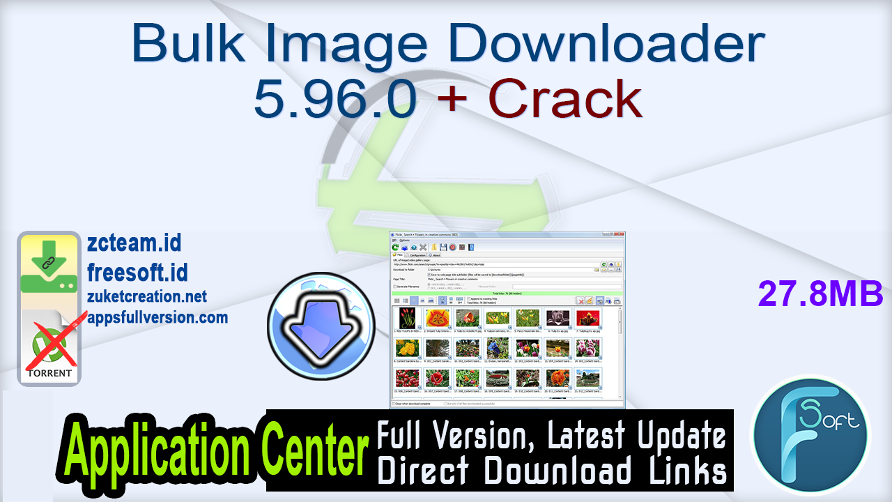 product key for bulk image downloader 5.20