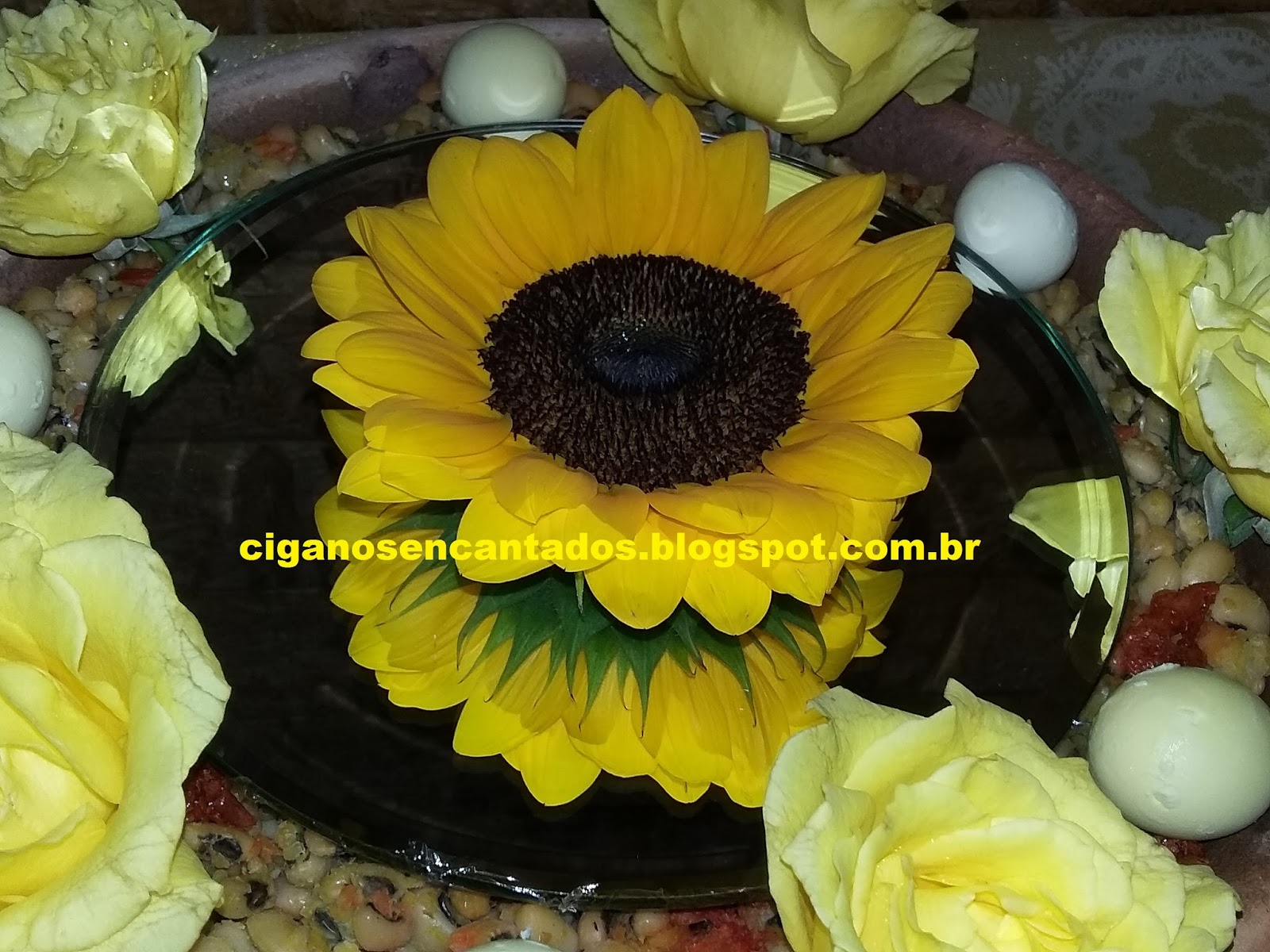 CE OMOLUCUM DE ENCANTO PARA OXUM!