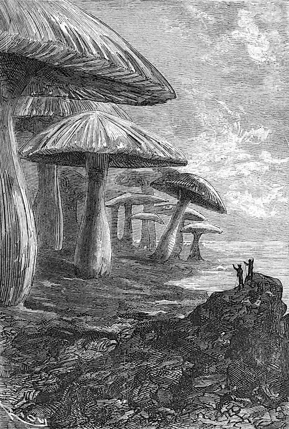 Édouard Riou & Jules Verne an Édouard Riou illustration for the 1800s Jules Verne book Journey to the Center of the Earth, with giant mushrooms
